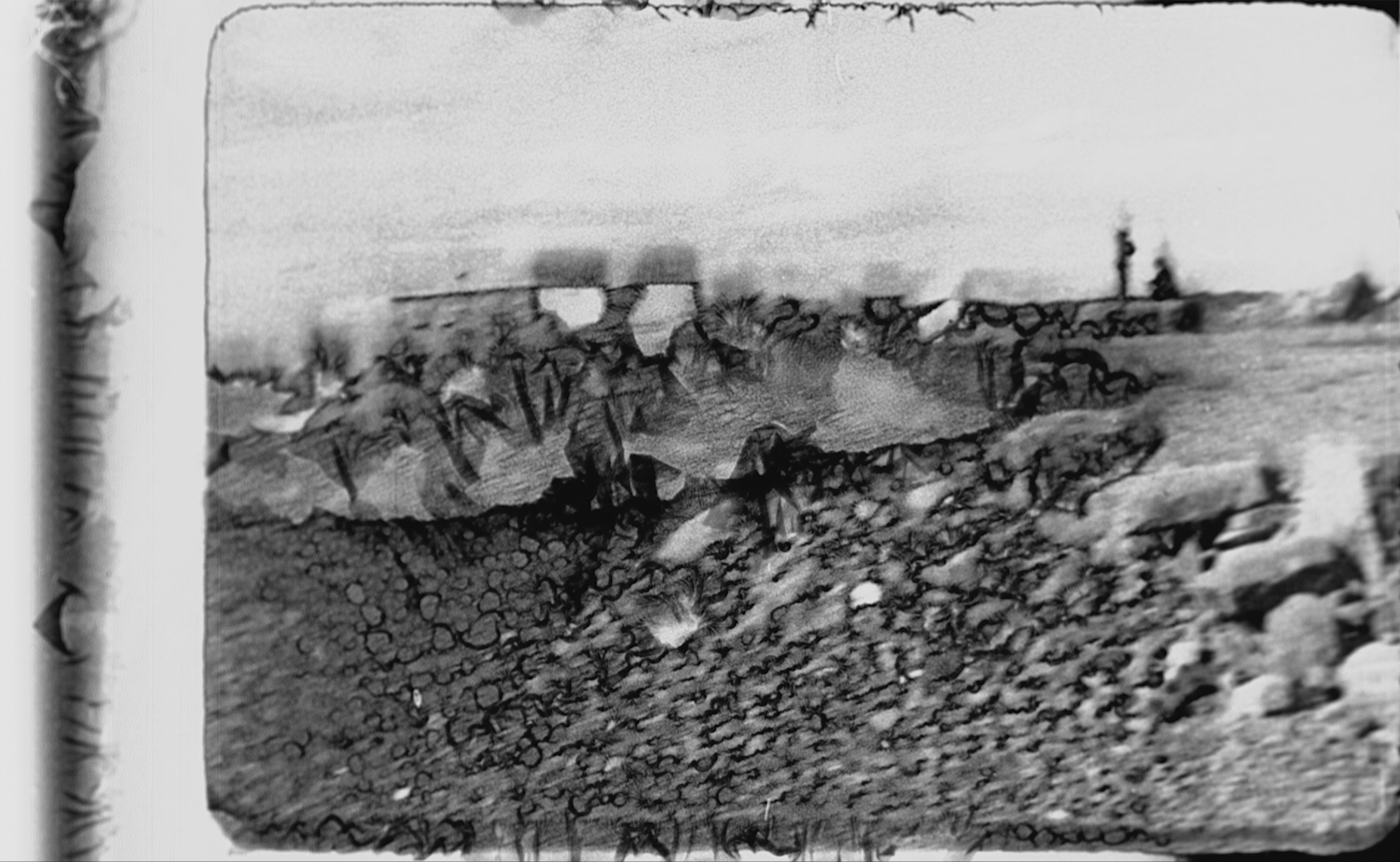 Langøya BW mordançage 1 uncropped